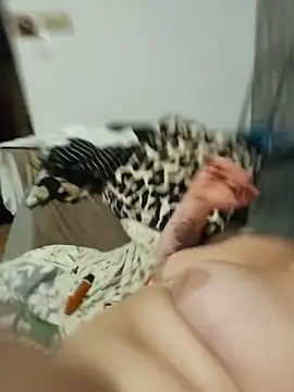 Frejaxx live cam on StripChat