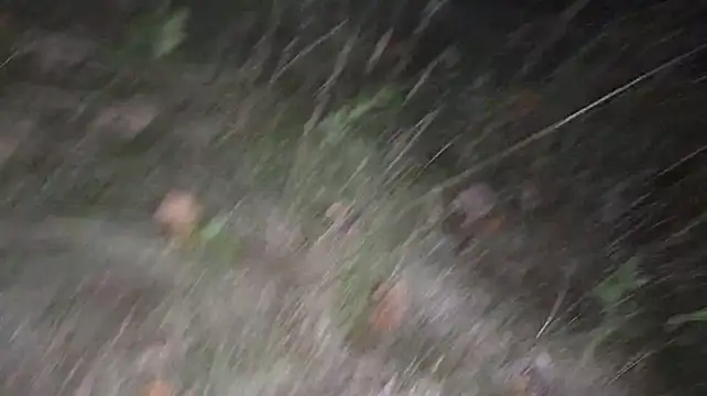 Vuitton live sex cam