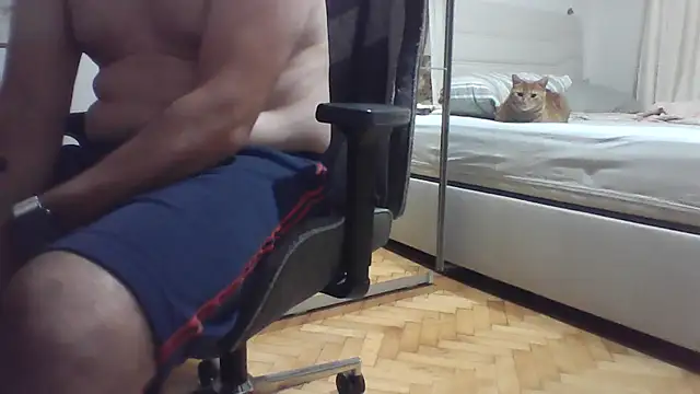 HotwifeAvcisiOlgunAdam live cam