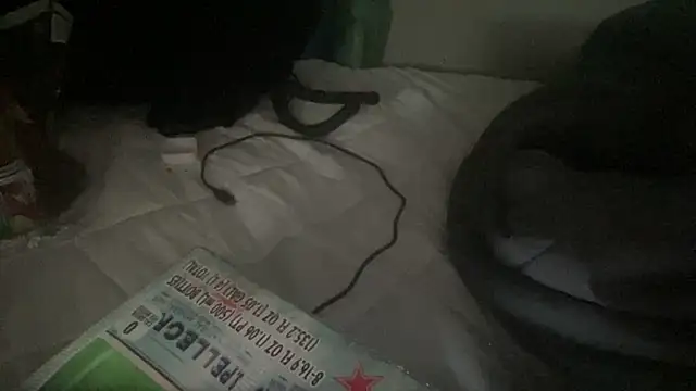 kcruisemysteryclouds (M young) - Fat dick throb tight fuckhole