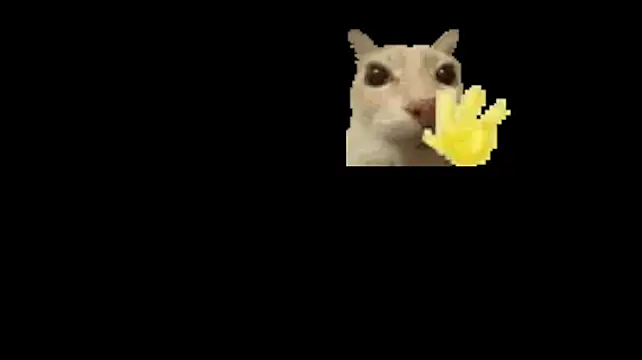 manu_vera8