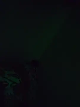SEXY_LION7