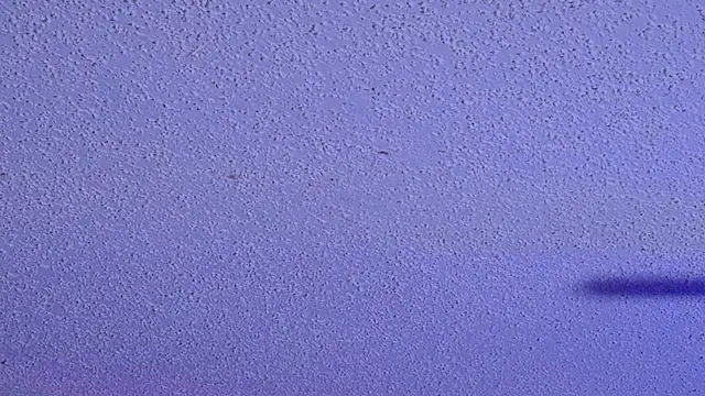 PNPSPUN1