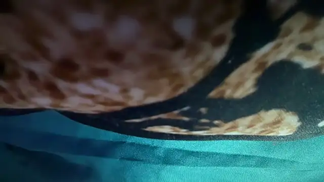 icebergslim281 live sex cam