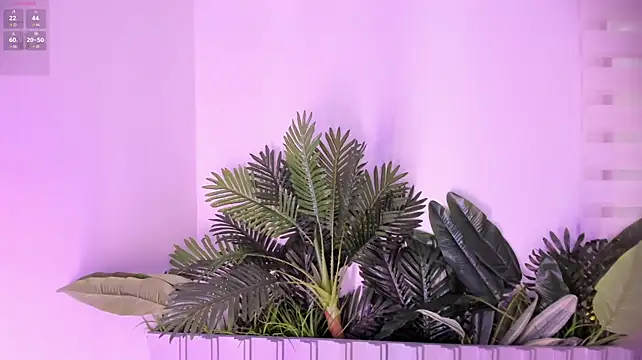 stephanymonroe