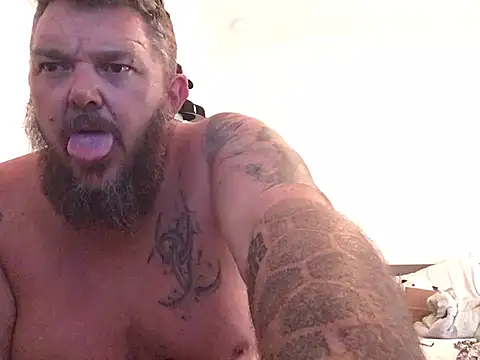 TatooedBear live cam on StripChat