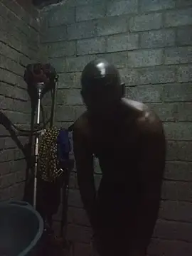 WiseDi