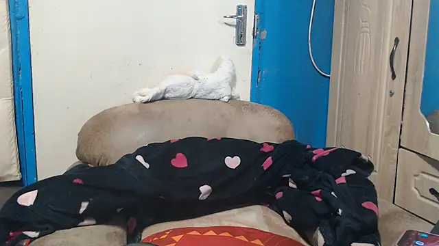 CUTEFIRMMELONSS