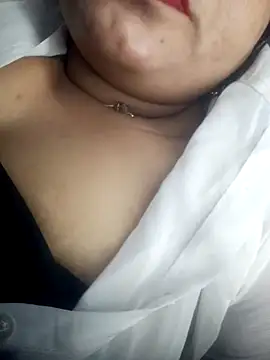 Delhi_Patola