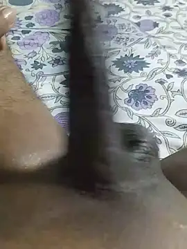 desi_pb02 live cam