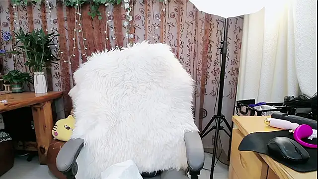 amysasa