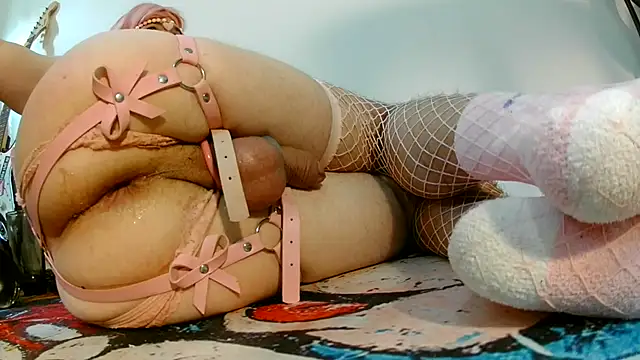 Prolapse_Pig