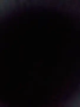 rupa_441's live room
