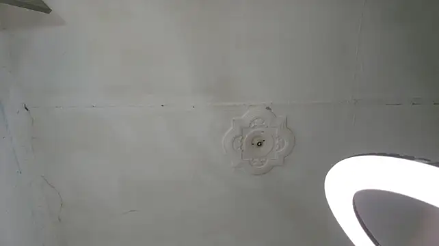 chirlleyy live cam