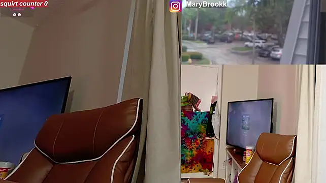 MaryBrook1 live cam