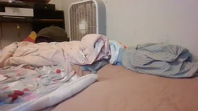 starlight1983 live cam on StripChat