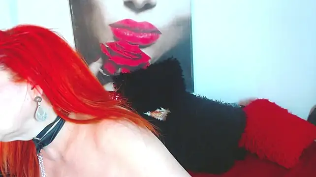 dairia_meraky