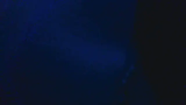 DecokingBoar live cam on StripChat