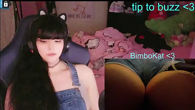 BimboCat