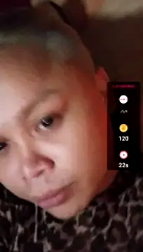 halsycarauy