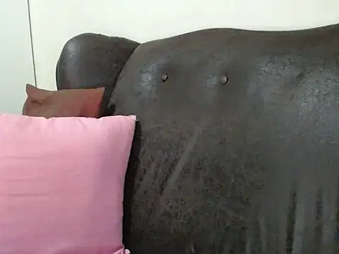 bustylaura4u live cam on StripChat