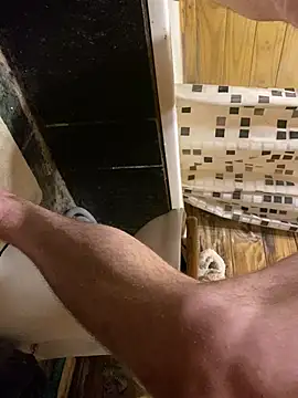 PatoAnimal