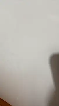 enesahin31_