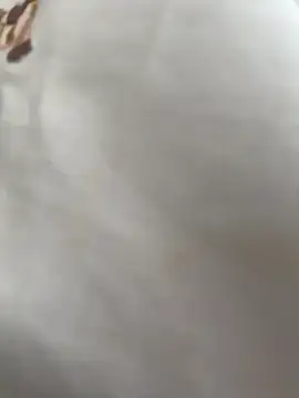 daaqnn live cam