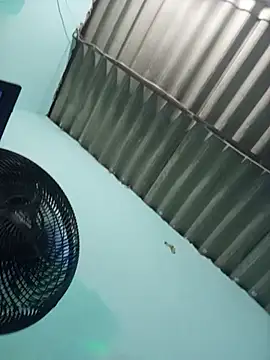 srtsara live cam