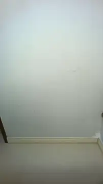 asiajustin11