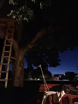 DaddyAndSplashQueen