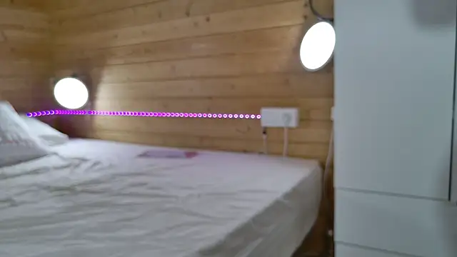 wild41 live sex cam