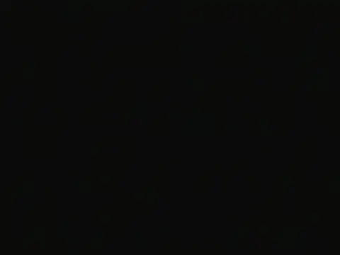 Aniee2