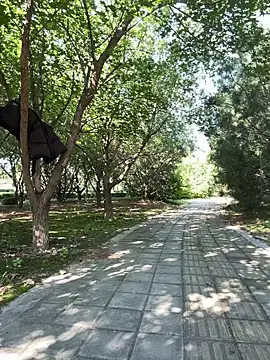 yingtao-888