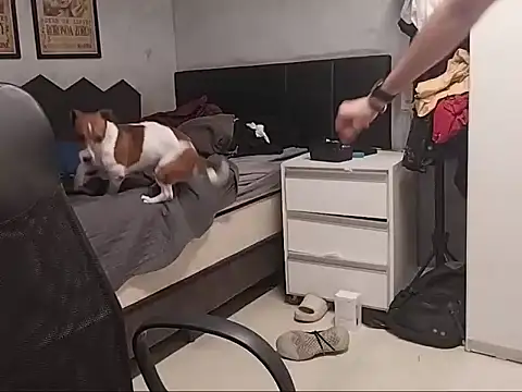 JackMancada live sex cam