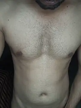snadycam