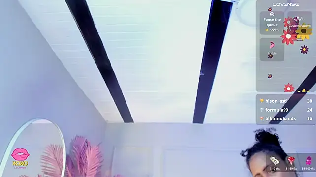 Nalapalmer