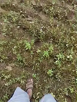Forest_lover24