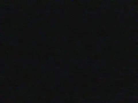 shugabaibe