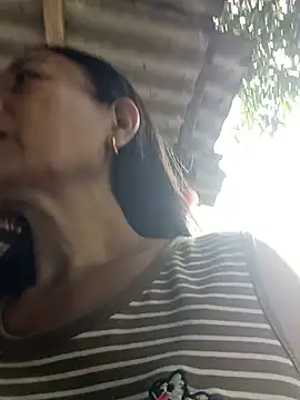toyo_668