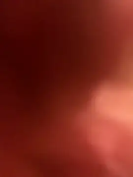 taldogostos0