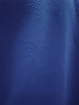 sexykrisha