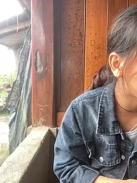 hoa_mai live cam preview