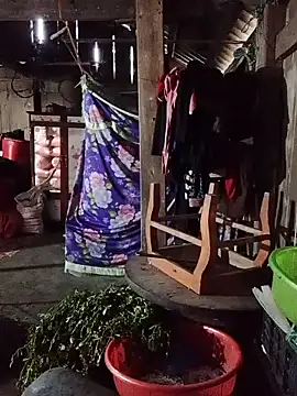 tran-trang