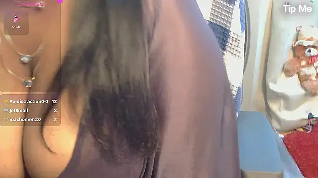 punemodel