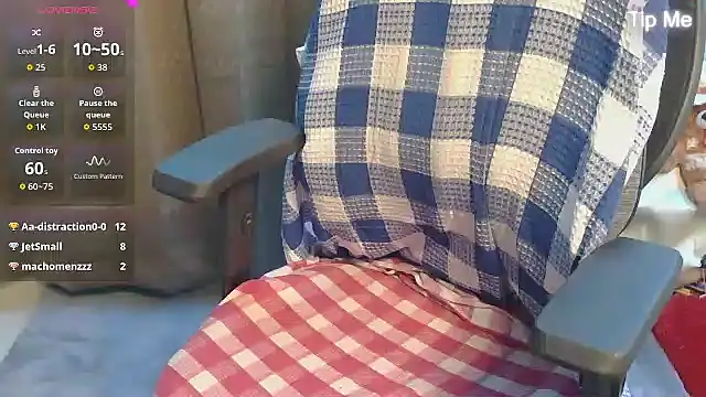 punemodel