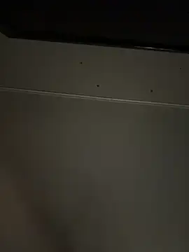 biggzee6