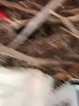 Hot_di97
