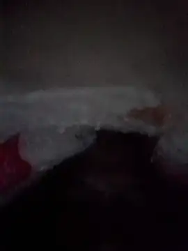 koolbend live cam on StripChat
