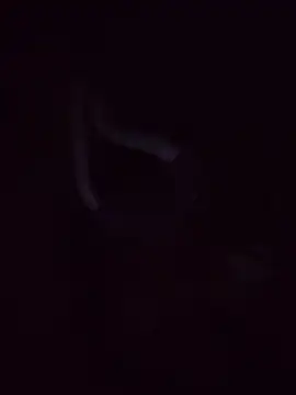SEXY_LION7